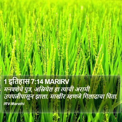 1 इतिहास 7:14 MARIRV Bible Verse Image