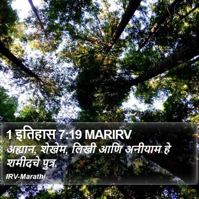 1 इतिहास 7:19 MARIRV Bible Verse Image
