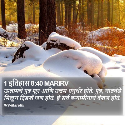 1 इतिहास 8:40 MARIRV Bible Verse Image