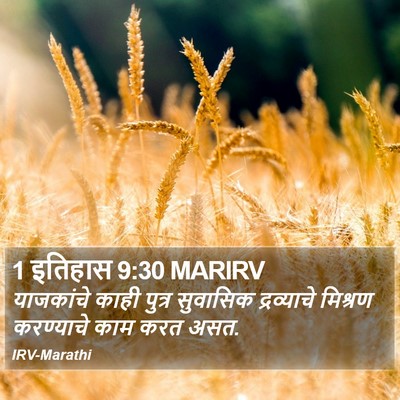 1 इतिहास 9:30 MARIRV Bible Verse Image
