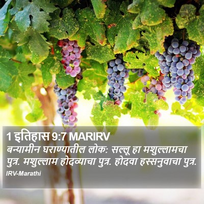 1 इतिहास 9:7 MARIRV Bible Verse Image