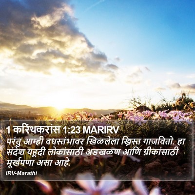 1 करिंथकरांस 1:23 MARIRV Bible Verse Image