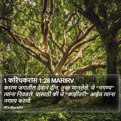 1 करिंथकरांस 1:28 MARIRV Bible Verse Image