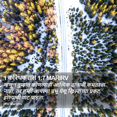 1 करिंथकरांस 1:7 MARIRV Bible Verse Image