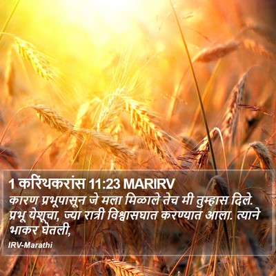 1 करिंथकरांस 11:23 MARIRV Bible Verse Image