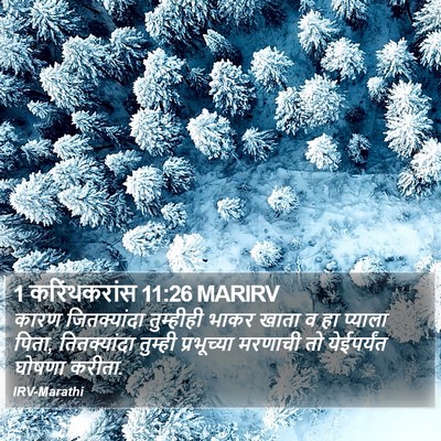 1 करिंथकरांस 11:26 MARIRV Bible Verse Image
