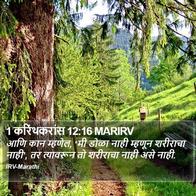 1 करिंथकरांस 12:16 MARIRV Bible Verse Image