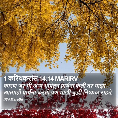 1 करिंथकरांस 14:14 MARIRV Bible Verse Image