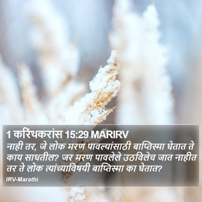 1 करिंथकरांस 15:29 MARIRV Bible Verse Image