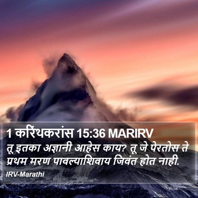 1 करिंथकरांस 15:36 MARIRV Bible Verse Image