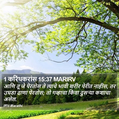 1 करिंथकरांस 15:37 MARIRV Bible Verse Image