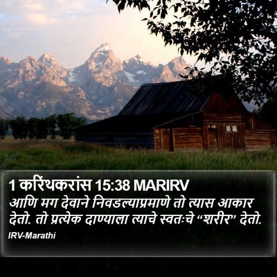 1 करिंथकरांस 15:38 MARIRV Bible Verse Image