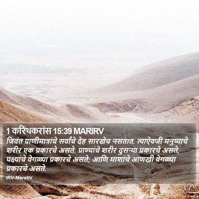 1 करिंथकरांस 15:39 MARIRV Bible Verse Image
