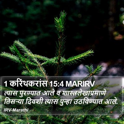 1 करिंथकरांस 15:4 MARIRV Bible Verse Image