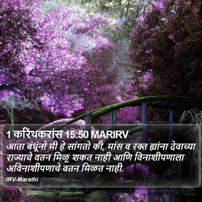 1 करिंथकरांस 15:50 MARIRV Bible Verse Image