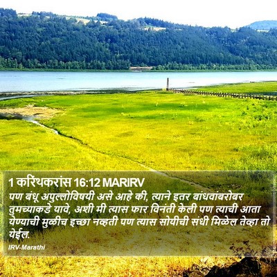 1 करिंथकरांस 16:12 MARIRV Bible Verse Image