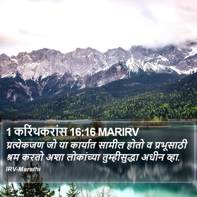 1 करिंथकरांस 16:16 MARIRV Bible Verse Image