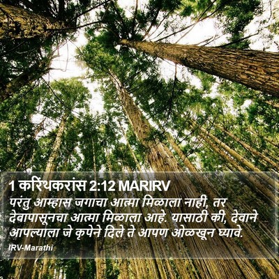 1 करिंथकरांस 2:12 MARIRV Bible Verse Image