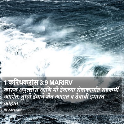 1 करिंथकरांस 3:9 MARIRV Bible Verse Image