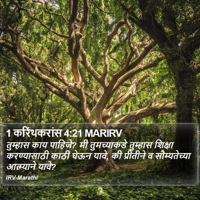 1 करिंथकरांस 4:21 MARIRV Bible Verse Image