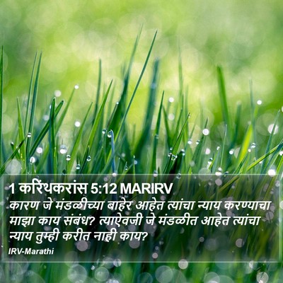 1 करिंथकरांस 5:12 MARIRV Bible Verse Image