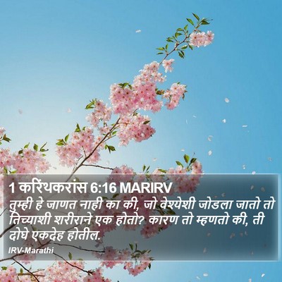 1 करिंथकरांस 6:16 MARIRV Bible Verse Image