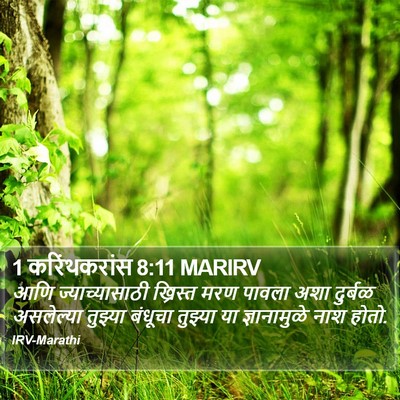 1 करिंथकरांस 8:11 MARIRV Bible Verse Image