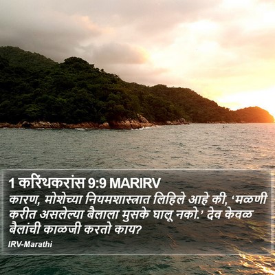 1 करिंथकरांस 9:9 MARIRV Bible Verse Image