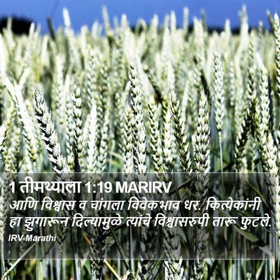 1 तीमथ्याला 1:19 MARIRV Bible Verse Image