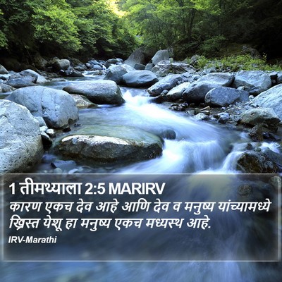 1 तीमथ्याला 2:5 MARIRV Bible Verse Image