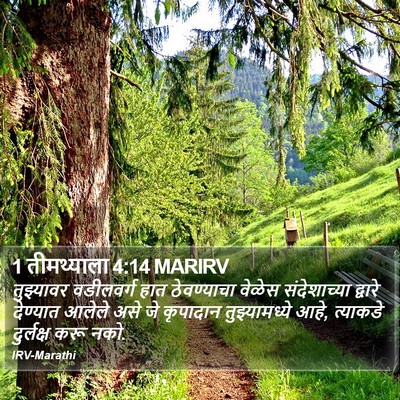 1 तीमथ्याला 4:14 MARIRV Bible Verse Image