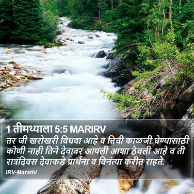 1 तीमथ्याला 5:5 MARIRV Bible Verse Image
