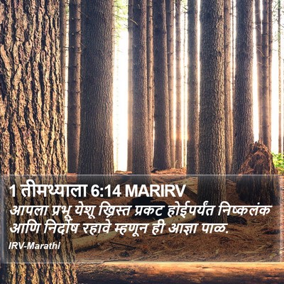 1 तीमथ्याला 6:14 MARIRV Bible Verse Image
