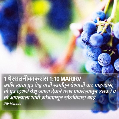 1 थेस्सलनीकाकरांस 1:10 MARIRV Bible Verse Image