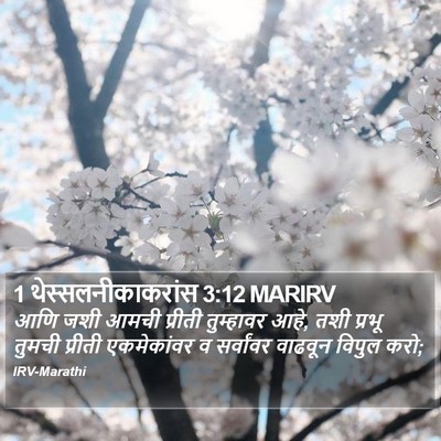 1 थेस्सलनीकाकरांस 3:12 MARIRV Bible Verse Image