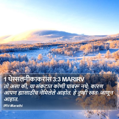 1 थेस्सलनीकाकरांस 3:3 MARIRV Bible Verse Image