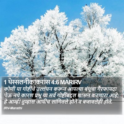 1 थेस्सलनीकाकरांस 4:6 MARIRV Bible Verse Image