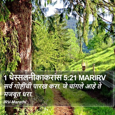 1 थेस्सलनीकाकरांस 5:21 MARIRV Bible Verse Image