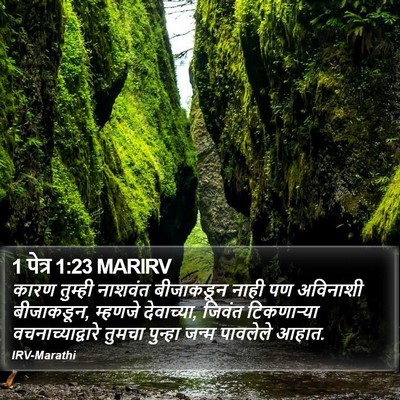 1 पेत्र 1:23 MARIRV Bible Verse Image