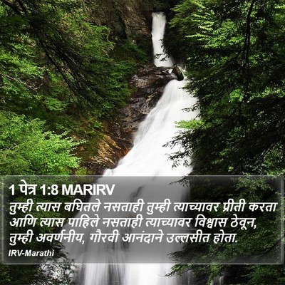 1 पेत्र 1:8 MARIRV Bible Verse Image