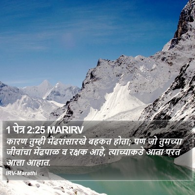 1 पेत्र 2:25 MARIRV Bible Verse Image