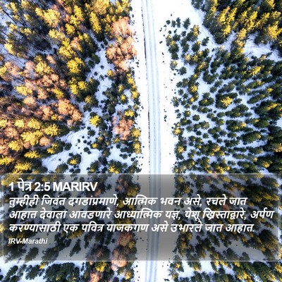 1 पेत्र 2:5 MARIRV Bible Verse Image