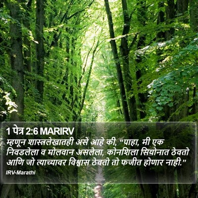 1 पेत्र 2:6 MARIRV Bible Verse Image