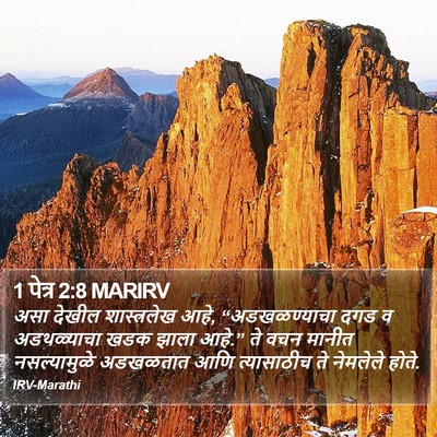 1 पेत्र 2:8 MARIRV Bible Verse Image