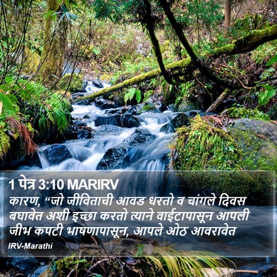 1 पेत्र 3:10 MARIRV Bible Verse Image