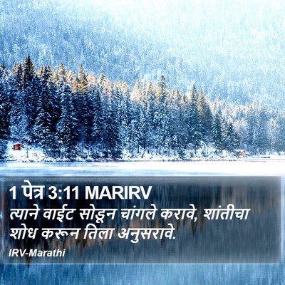1 पेत्र 3:11 MARIRV Bible Verse Image