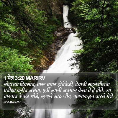 1 पेत्र 3:20 MARIRV Bible Verse Image