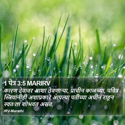 1 पेत्र 3:5 MARIRV Bible Verse Image