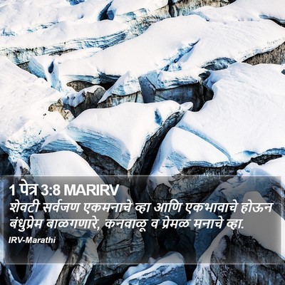 1 पेत्र 3:8 MARIRV Bible Verse Image