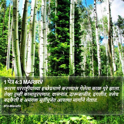 1 पेत्र 4:3 MARIRV Bible Verse Image